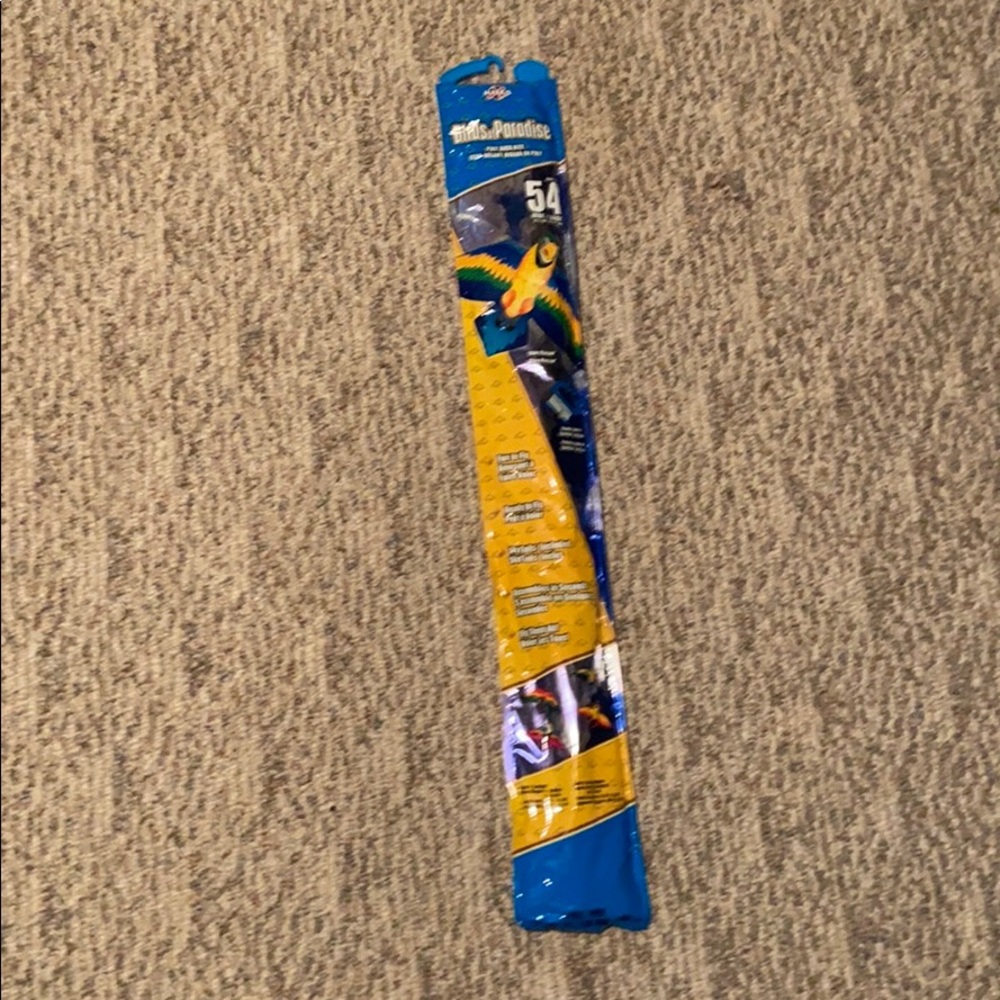 Brand new kite